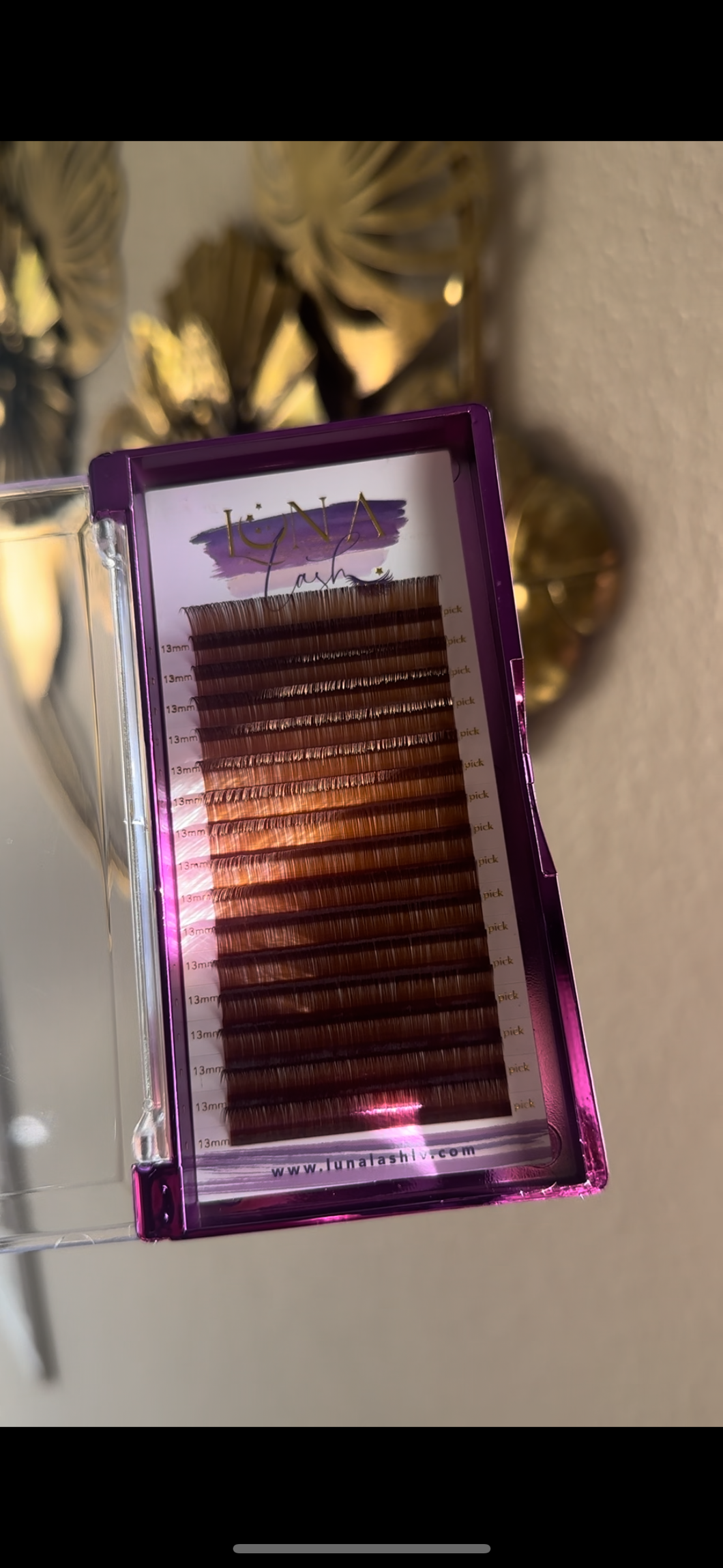 Brown Lash Collection